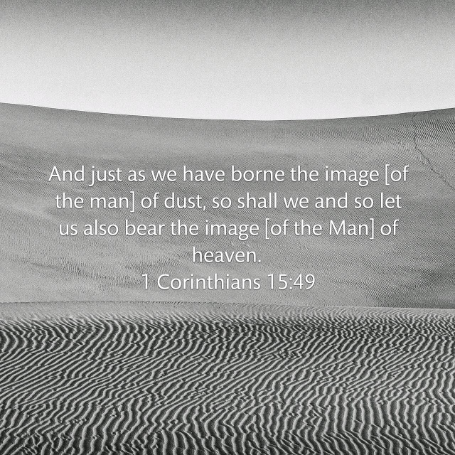 1 Corinthians 15_49